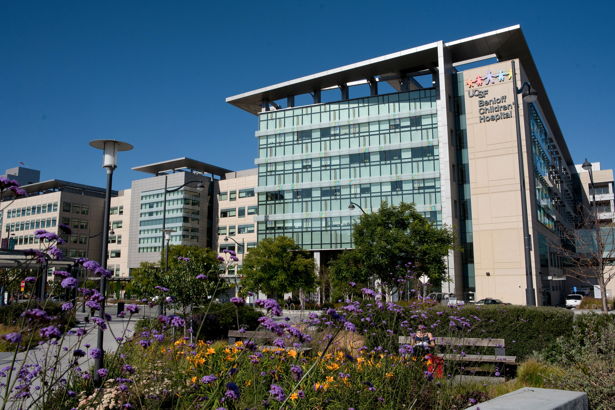 Lunar New Year  Diversity, Equity, & Inclusion at UCSF Benioff Children's  Hospitals